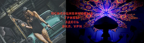 прущие крисы Алексин